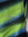 2025-26 Marseille Green Blue Special Edition Player Version Training shirts
