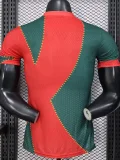 2025-26 Marseille Red Green Special Edition Player Version Training shirts