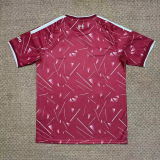 26-27 LIV Home Fans Training shirts