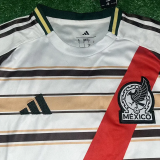 2026-27 Mexico Khaki White Special Edition Training shirts