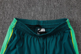 2026-27 Brazil Lake blue Half Pull Tracksuit #B26041(半拉链)
