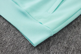 2026-27 Germany Light green Jacket Tracksuit #A26038
