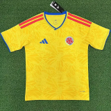 2026-27 Colombia Home X-Karol G Graphics Fans Soccer Jersey