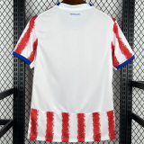 2026-27 Paraguay Home Fans Soccer Jersey