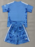 26-27 ARS Lake blue Goalkeeper Kids Soccer Jersey