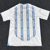 2026-27 Argentina White Special Edition Training shirts (金边)