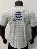 26-27 INT Grey White Player Version Training shirts
