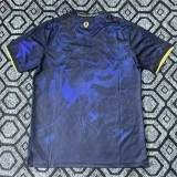 25-26 CHE Champions Special Edition Training shirts