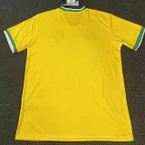 26-27 Cruzeiro Yellow Special Edition Fans Soccer Jersey