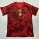 26-27 Internacional Third Fans Soccer Jersey