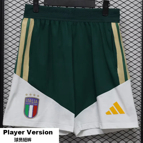 26-27 Italy Green White Player Version Shorts Pants(球员短裤)