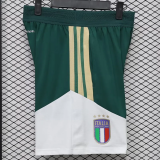 26-27 Italy Green White Player Version Shorts Pants(球员短裤)