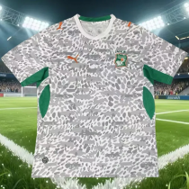 26-27 Ivory Coast Grey Training shirts