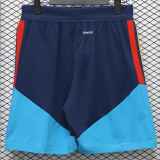 26-27 Spain Royal blue Player Version Shorts Pants(球员短裤)