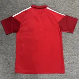 26-27 River Plate Red Polo Short Sleeve (半拉链)
