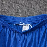 26-27 France Blue Player Version Training Shorts Pants (球员短裤)