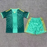 26-27 Argentina Messi Farewell Match Green Kids Soccer Jersey