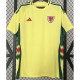 24-25 Wales Away Fans Soccer Jersey