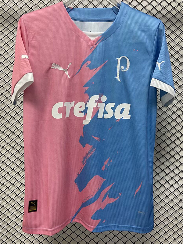 23-24 Palmeiras Pink Blue Special Edition Training shirts