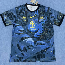 24-25 Brazil Blue Special Edition Fans Soccer Jersey