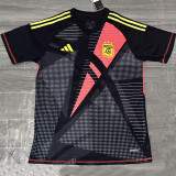24-25 Argentina Black Grey GoalKeeper Fans Soccer Jersey