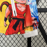 2024 Japan Anime Edition Double Sided Windbreaker (蜡笔小新-双面风衣)