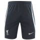 24-25 LIV Grey Training Shorts Pants