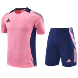 2024 AD Pink Training Short Suit