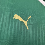24-25 Palmeiras Home 1:1 Fans Soccer Jersey