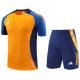 2024 AD Orange Training Short Suit