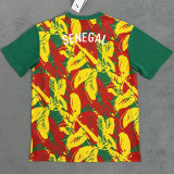 24-25 Senegal Red Yellow Green Fans Training shirts