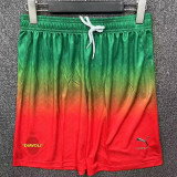 24-25 ACM Geen Red Shorts Pants