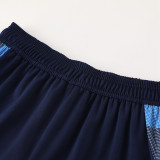 2024 AD08 Fancy blue Training Short Suit