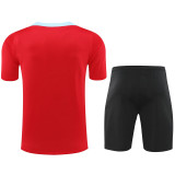 24-25 BAR Red Training Short Suit