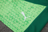 24-25 Palmeiras Green Training Short Suit