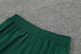 24-25 Portugal Green Training Short Suit