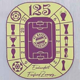 24-25 Bayern Grey 125th Anniversary Fans Soccer Jersey *灰色