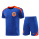 24-25 Netherlands Fancy blue Training Short Suit