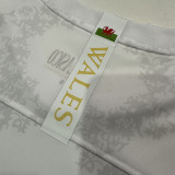 24-25 RMA Comma Special Edition Fans Training Shirts (背后WALES)