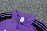 25-26 Germany Purple Polo Tracksuit