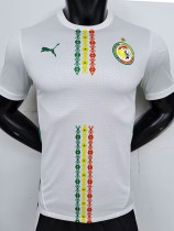 24-25 Senegal Home Player Version Soccer Jersey