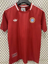 24-25 Bayern Red Retro Edition Training Shirts