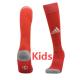 24-25 Wales Home Red Kids Socks(儿童)
