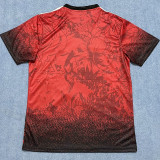 25-26 LIV Red Special Edition Fans Training shirts