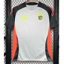 24-25 Benfica Grey Training Shirts