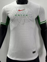 24-25 Nigeria Home Player Version Soccer Jersey