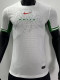 24-25 Nigeria Home Player Version Soccer Jersey