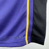 22-23 LAKERS JAMES JR. #9 Purple Top Quality Hot Pressing NBA Jersey (Trapeze Edition) 飞人版