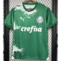 24-25 Palmeiras Green Special Edition Training shirts