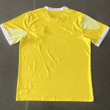 24-25 Brazil Special Edition Training Soccer Jersey *城市版